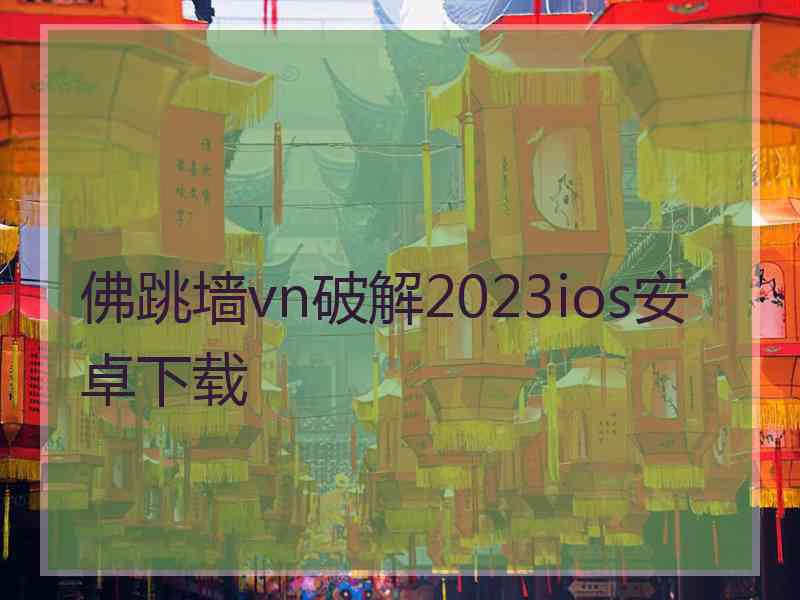 佛跳墙vn破解2023ios安卓下载