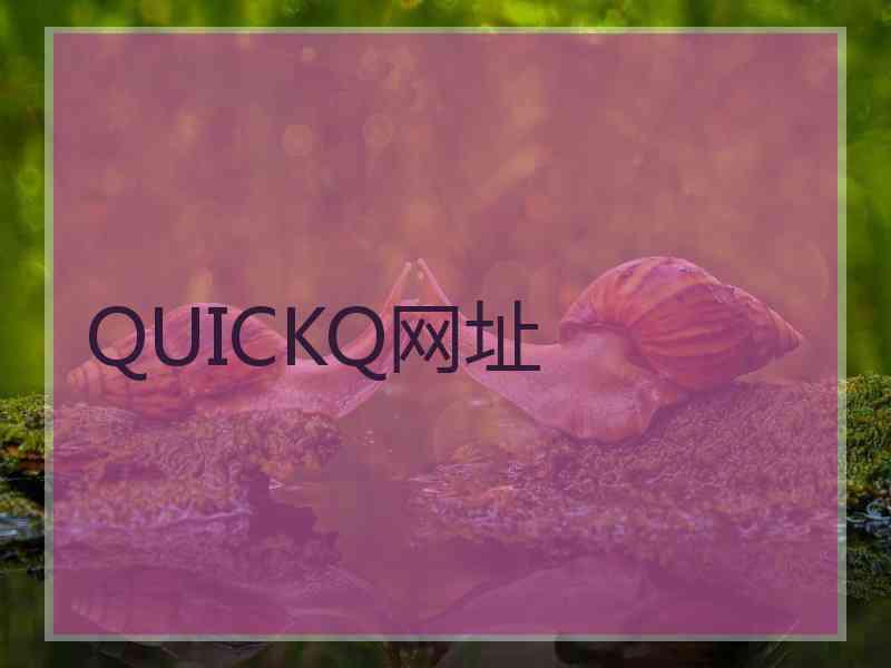 QUICKQ网址