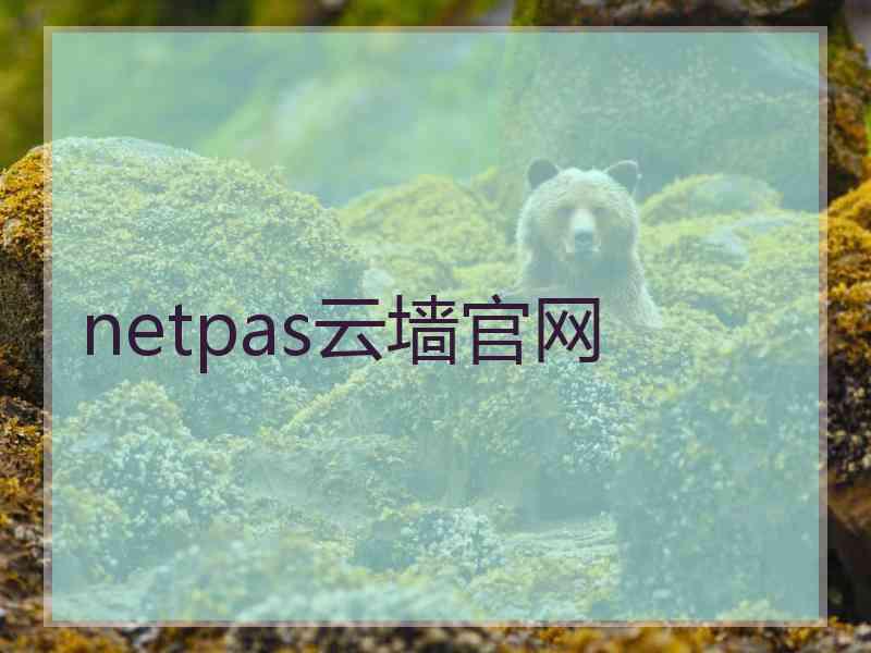 netpas云墙官网