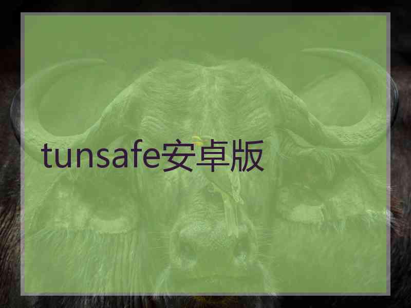 tunsafe安卓版