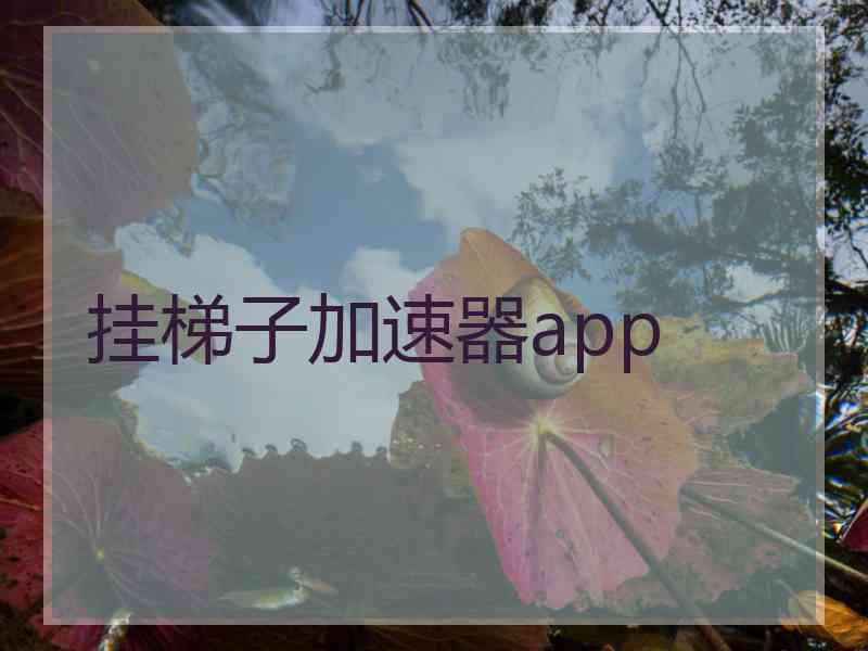 挂梯子加速器app