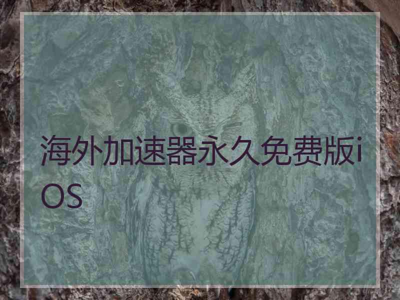 海外加速器永久免费版iOS