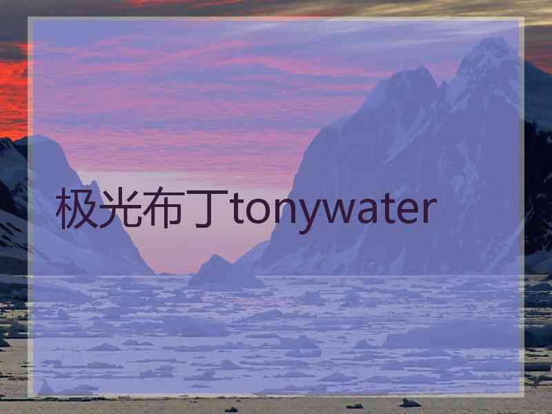 极光布丁tonywater