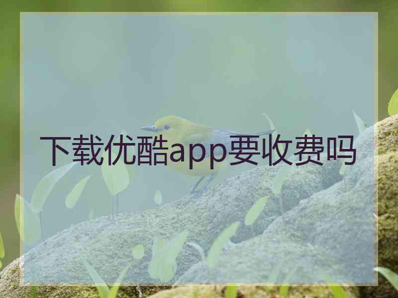 下载优酷app要收费吗