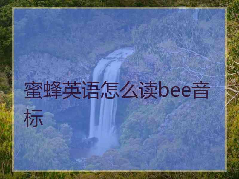 蜜蜂英语怎么读bee音标