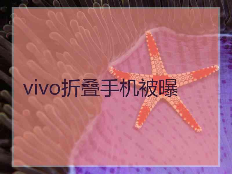 vivo折叠手机被曝