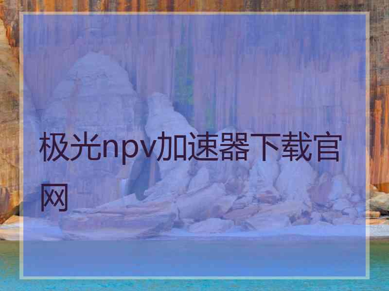 极光npv加速器下载官网