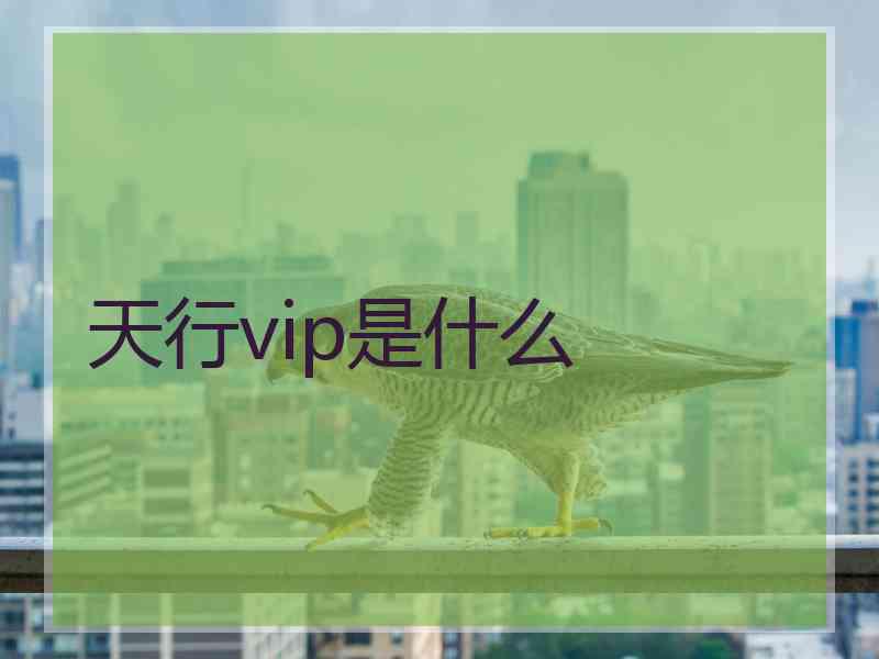 天行vip是什么