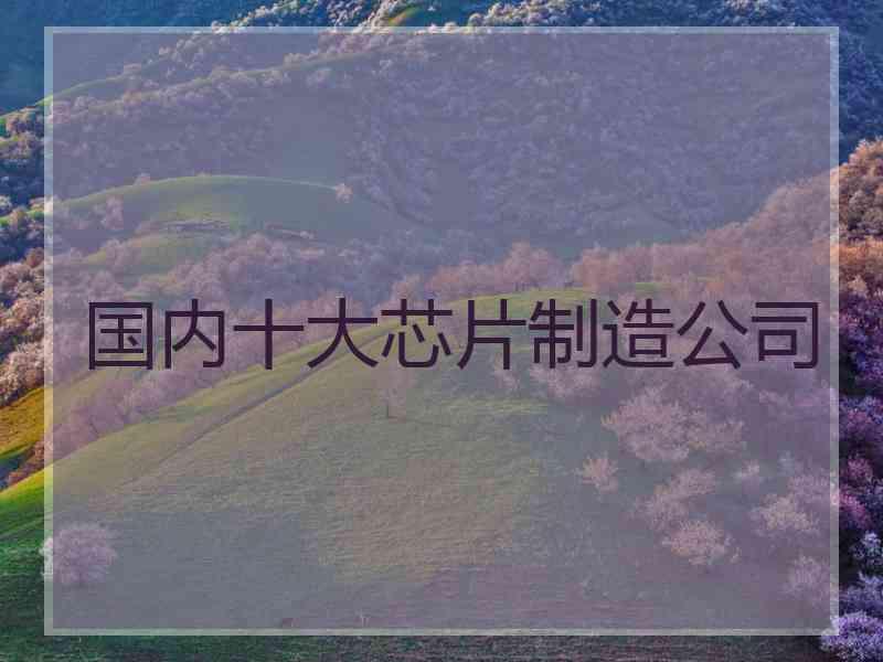 国内十大芯片制造公司