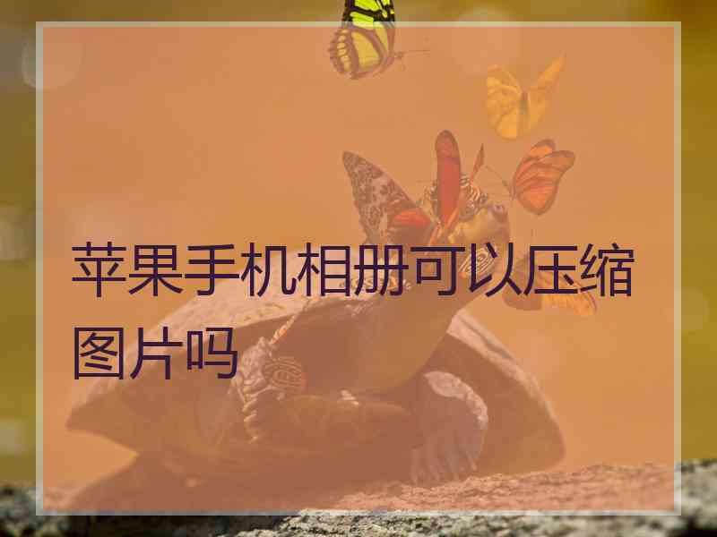 苹果手机相册可以压缩图片吗