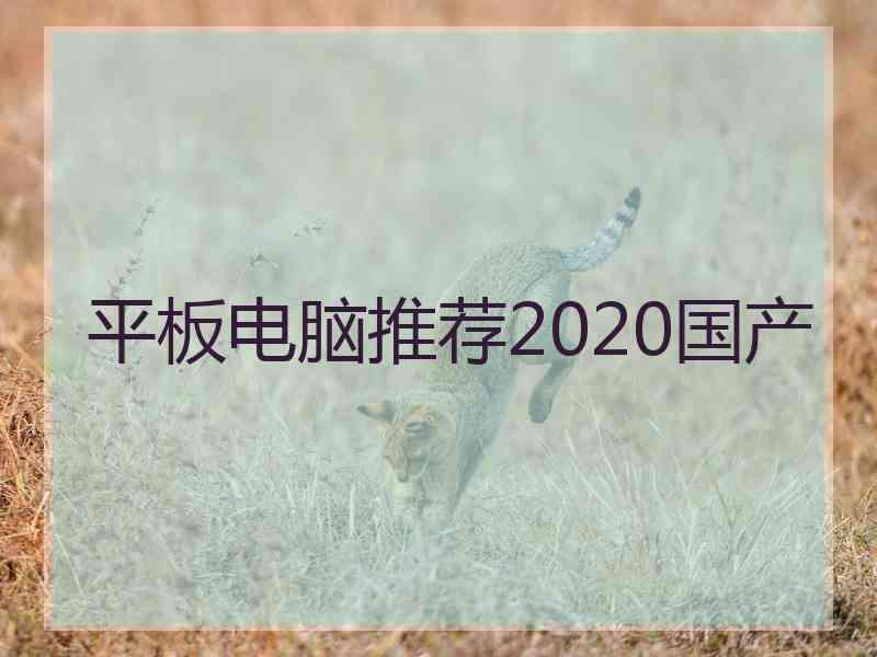 平板电脑推荐2020国产