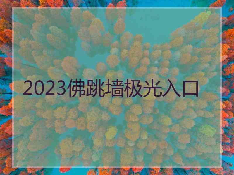 2023佛跳墙极光入口