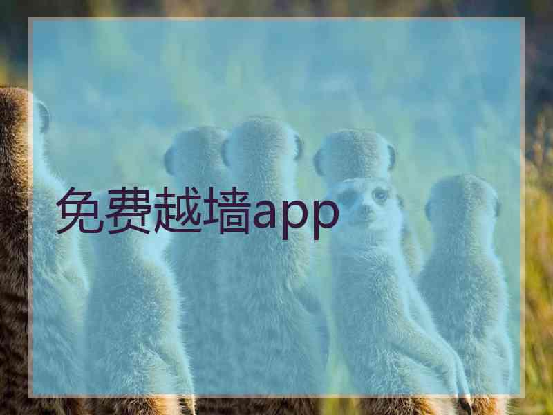 免费越墙app