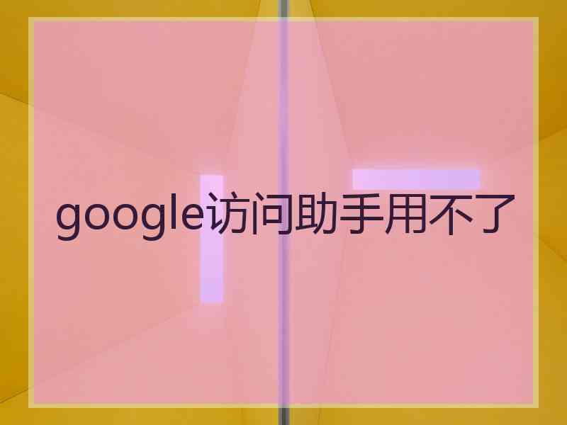 google访问助手用不了