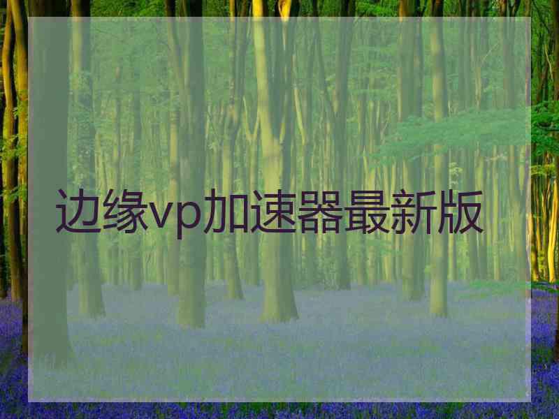 边缘vp加速器最新版