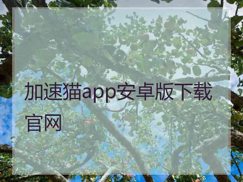 加速猫app安卓版下载官网