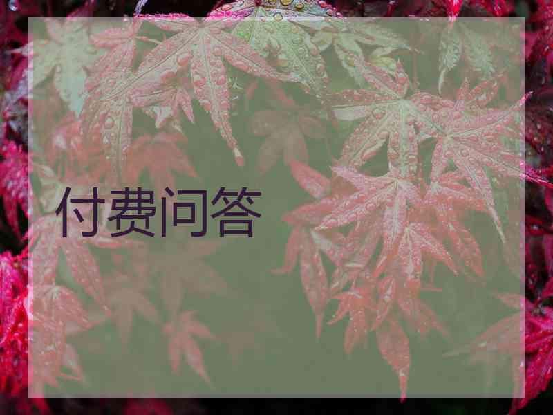 付费问答