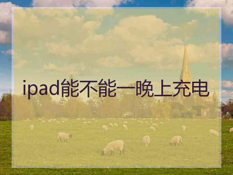 ipad能不能一晚上充电