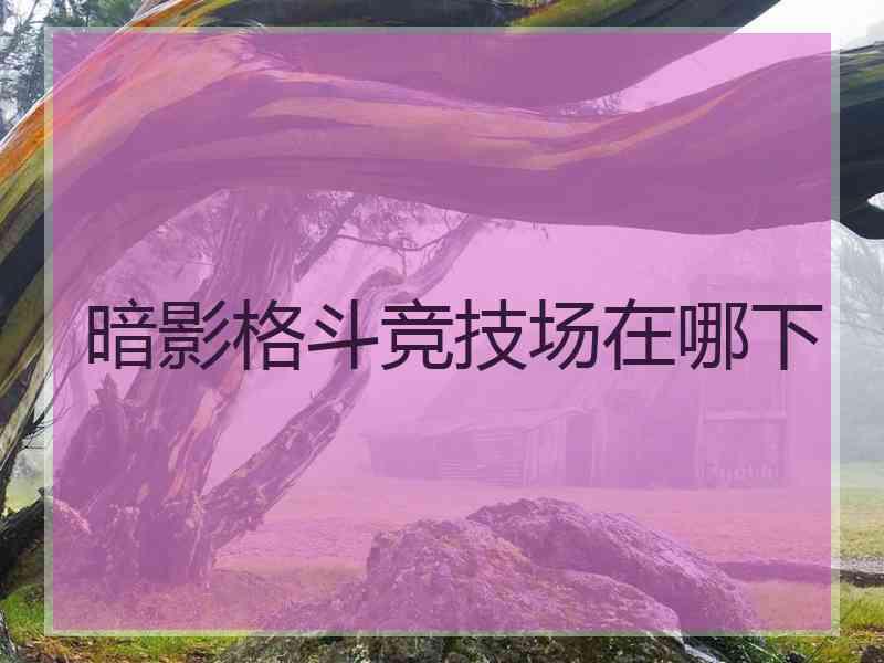 暗影格斗竞技场在哪下