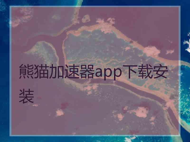 熊猫加速器app下载安装