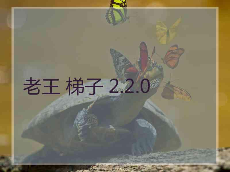 老王 梯子 2.2.0