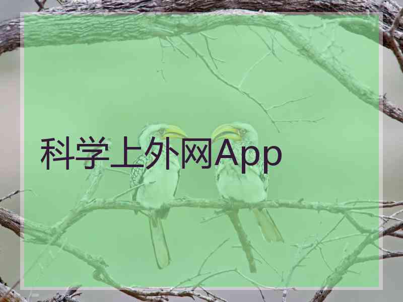 科学上外网App