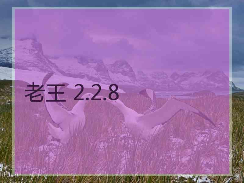 老王 2.2.8