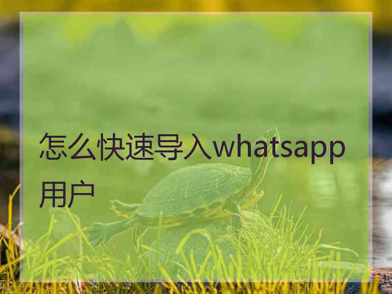 怎么快速导入whatsapp用户