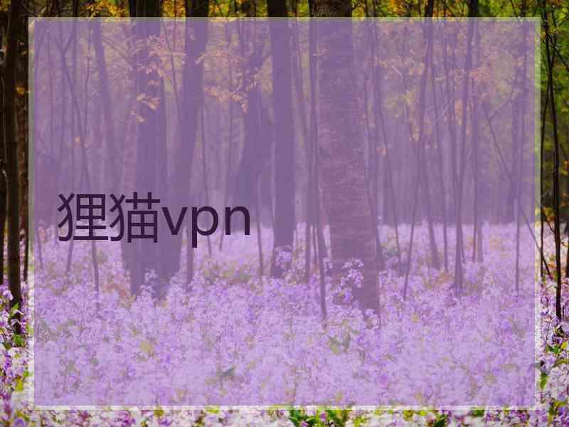 狸猫vpn