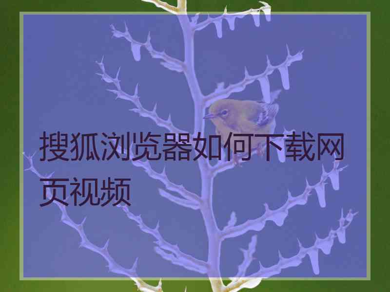 搜狐浏览器如何下载网页视频