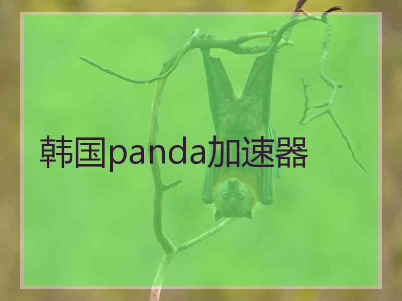 韩国panda加速器