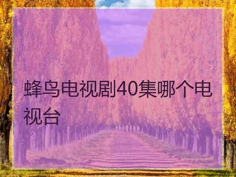 蜂鸟电视剧40集哪个电视台