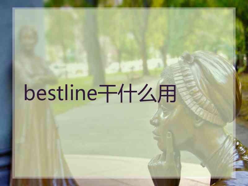 bestline干什么用