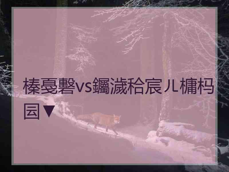 榛戞礊vs钃濊秴宸ㄦ槦杩囩▼