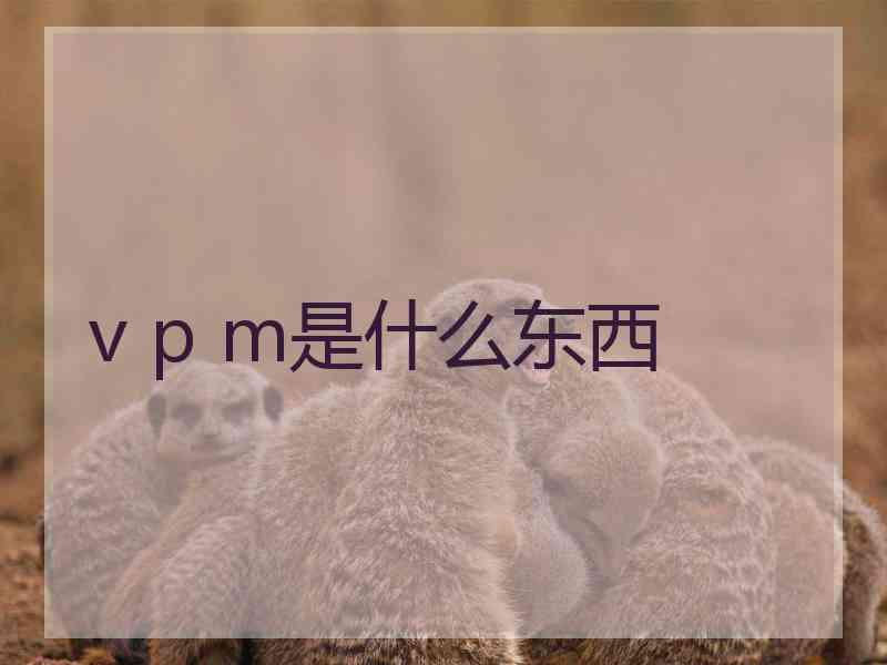 v p m是什么东西