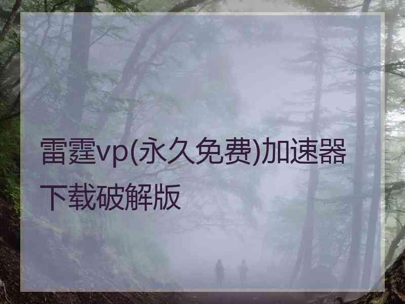 雷霆vp(永久免费)加速器下载破解版