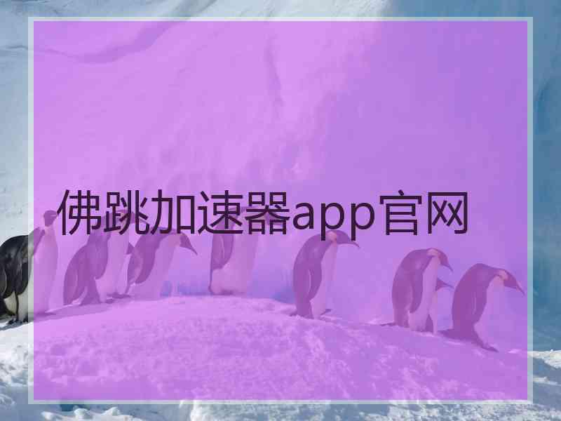 佛跳加速器app官网