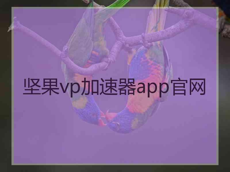 坚果vp加速器app官网