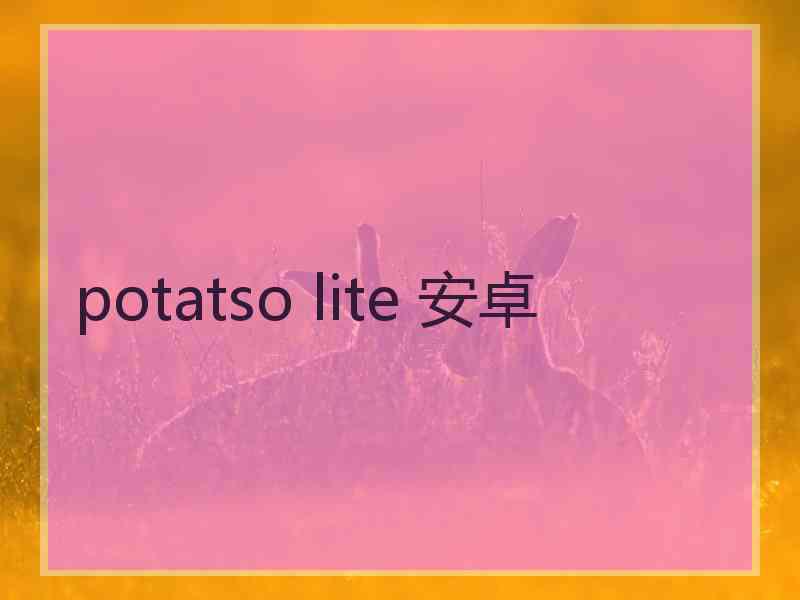 potatso lite 安卓