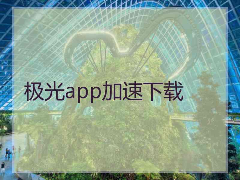 极光app加速下载