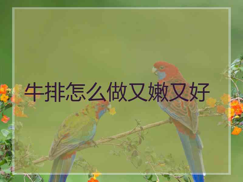 牛排怎么做又嫩又好