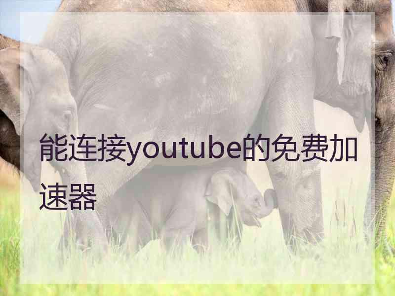 能连接youtube的免费加速器