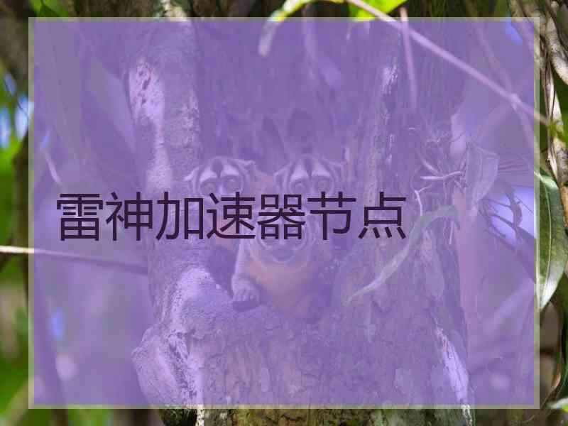 雷神加速器节点