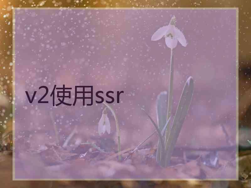 v2使用ssr