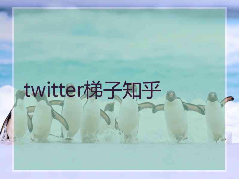 twitter梯子知乎