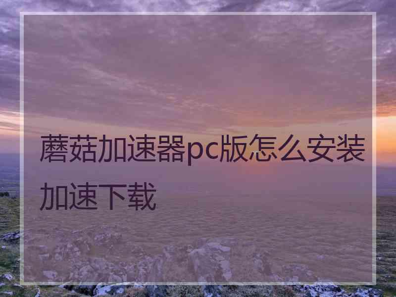 蘑菇加速器pc版怎么安装加速下载