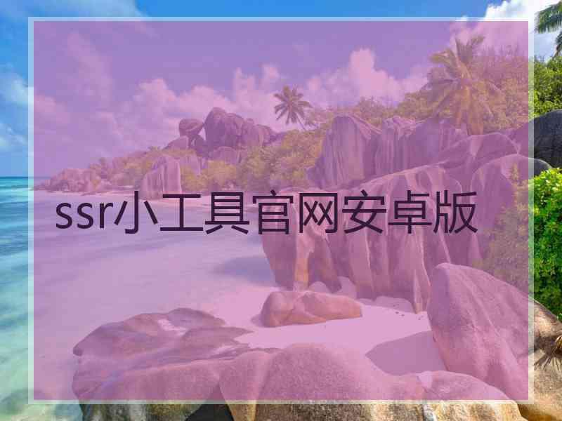 ssr小工具官网安卓版