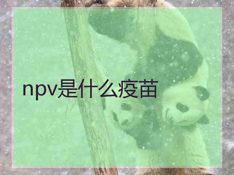 npv是什么疫苗