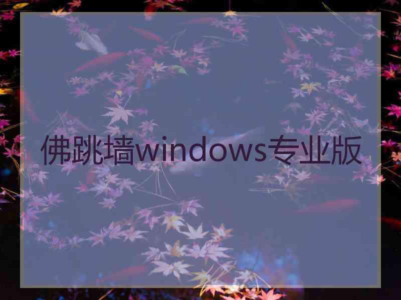 佛跳墙windows专业版