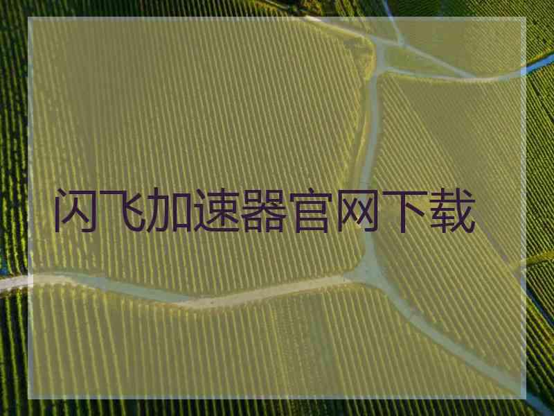 闪飞加速器官网下载